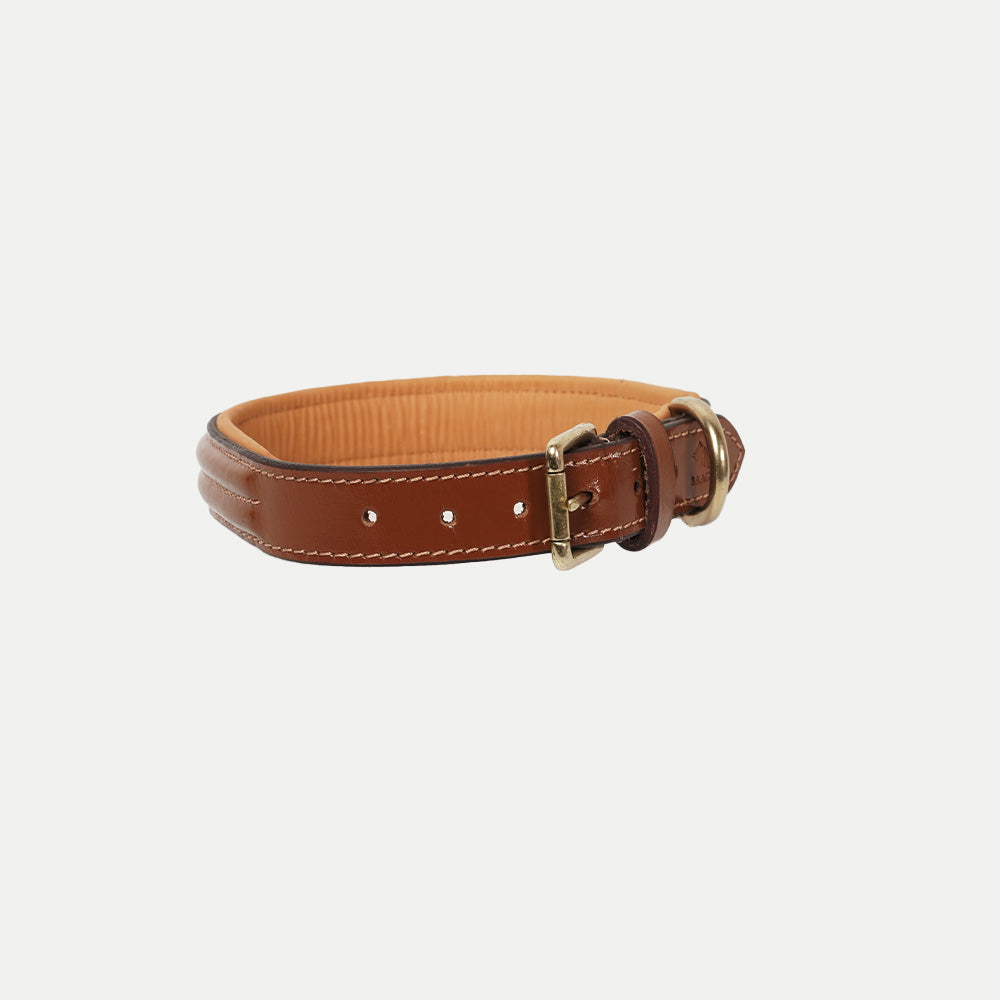 Collars