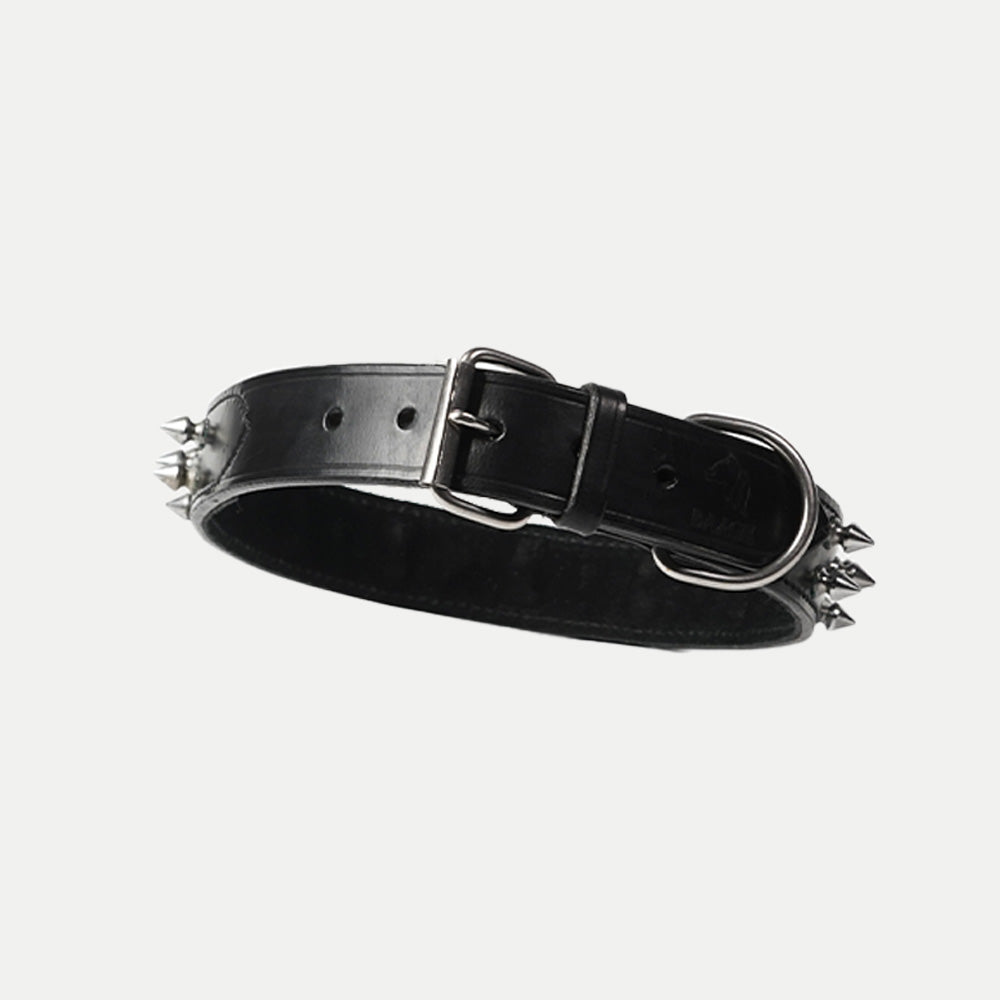 Pine Collar
