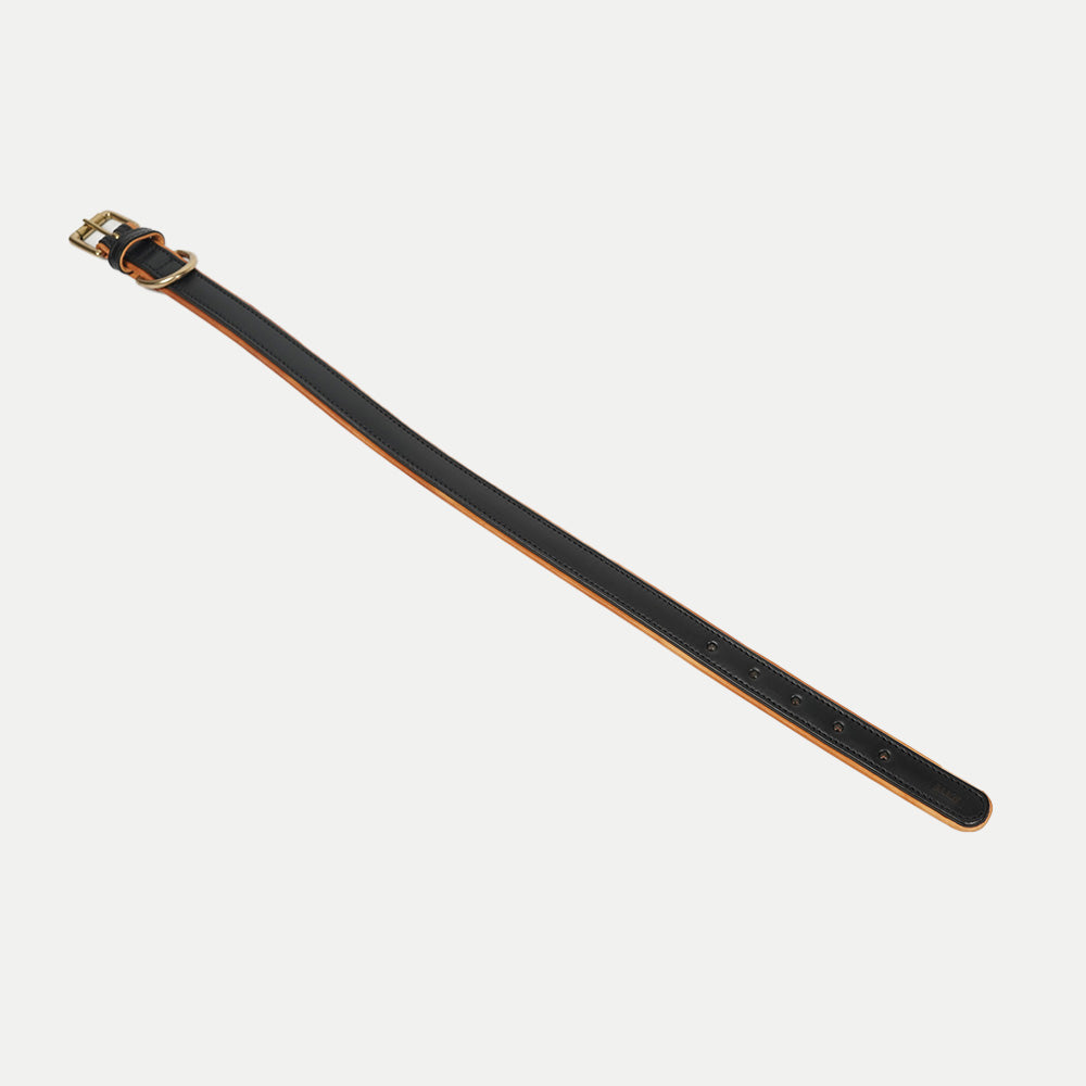 Amorti Padded Collar