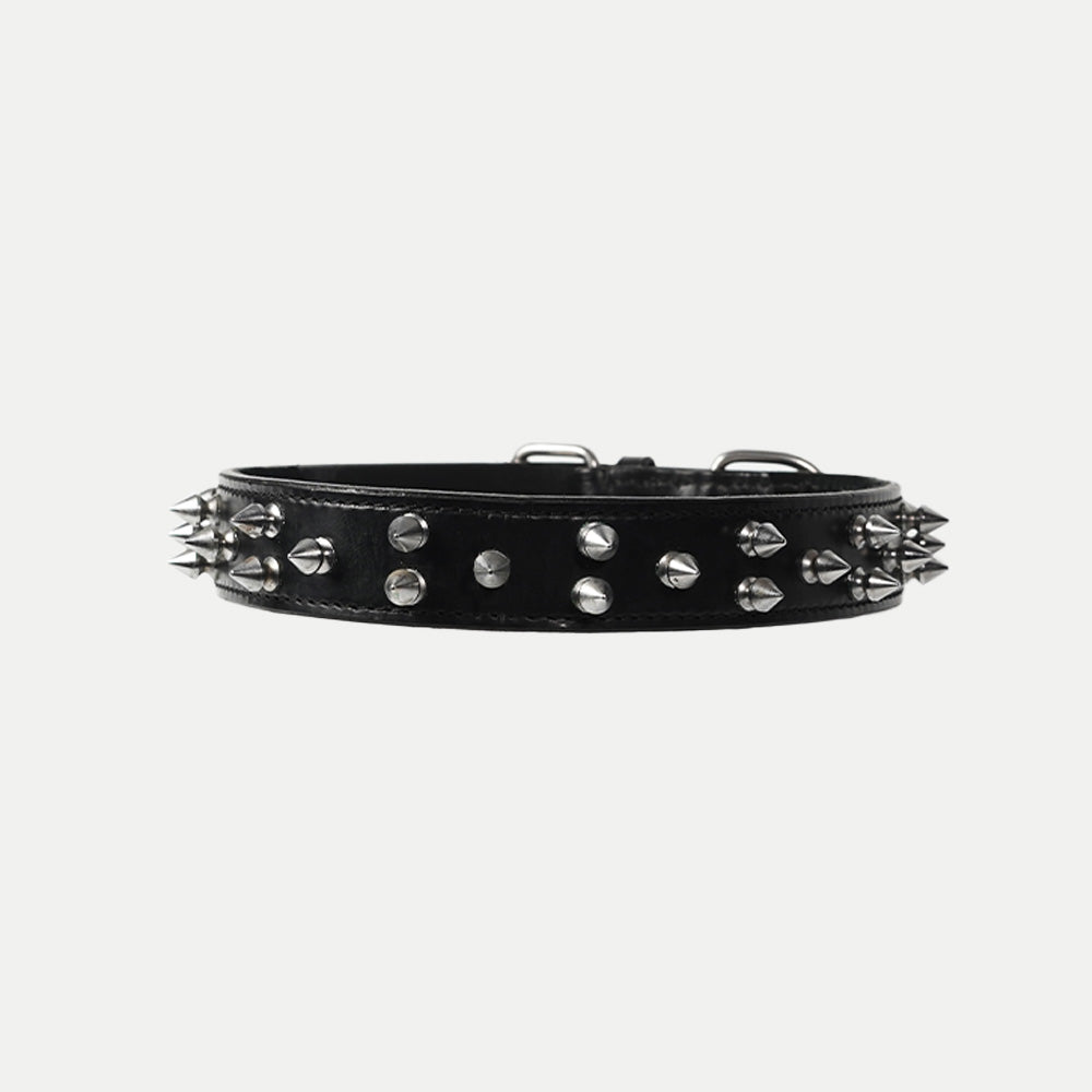 Pine Collar