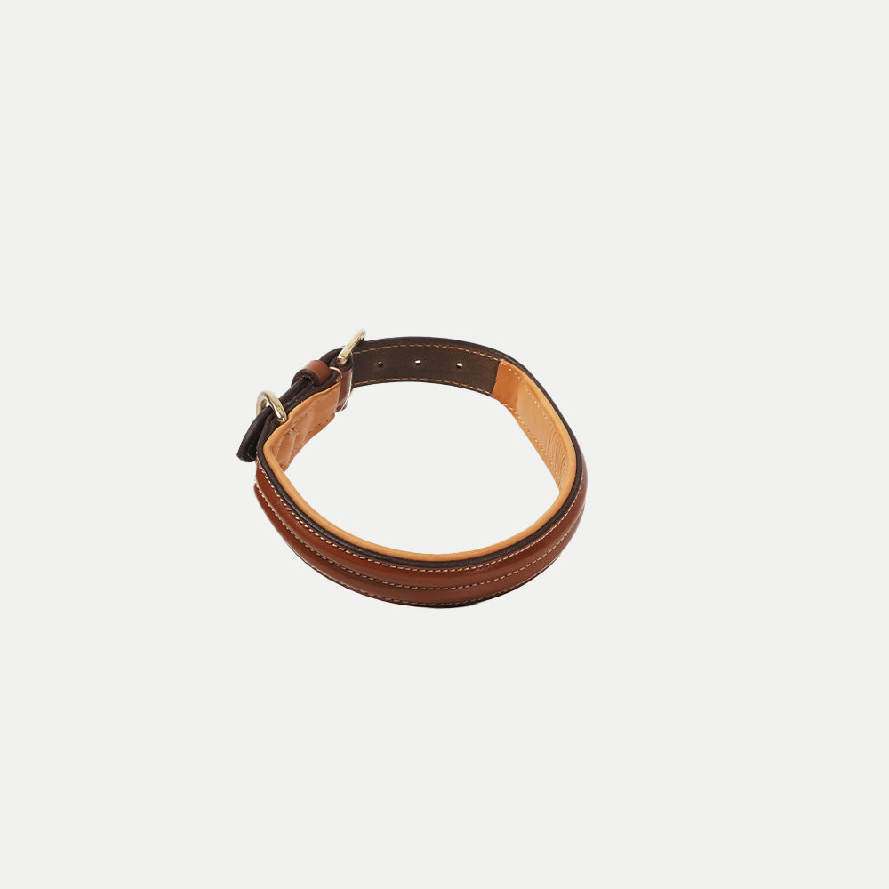 Raised Collar