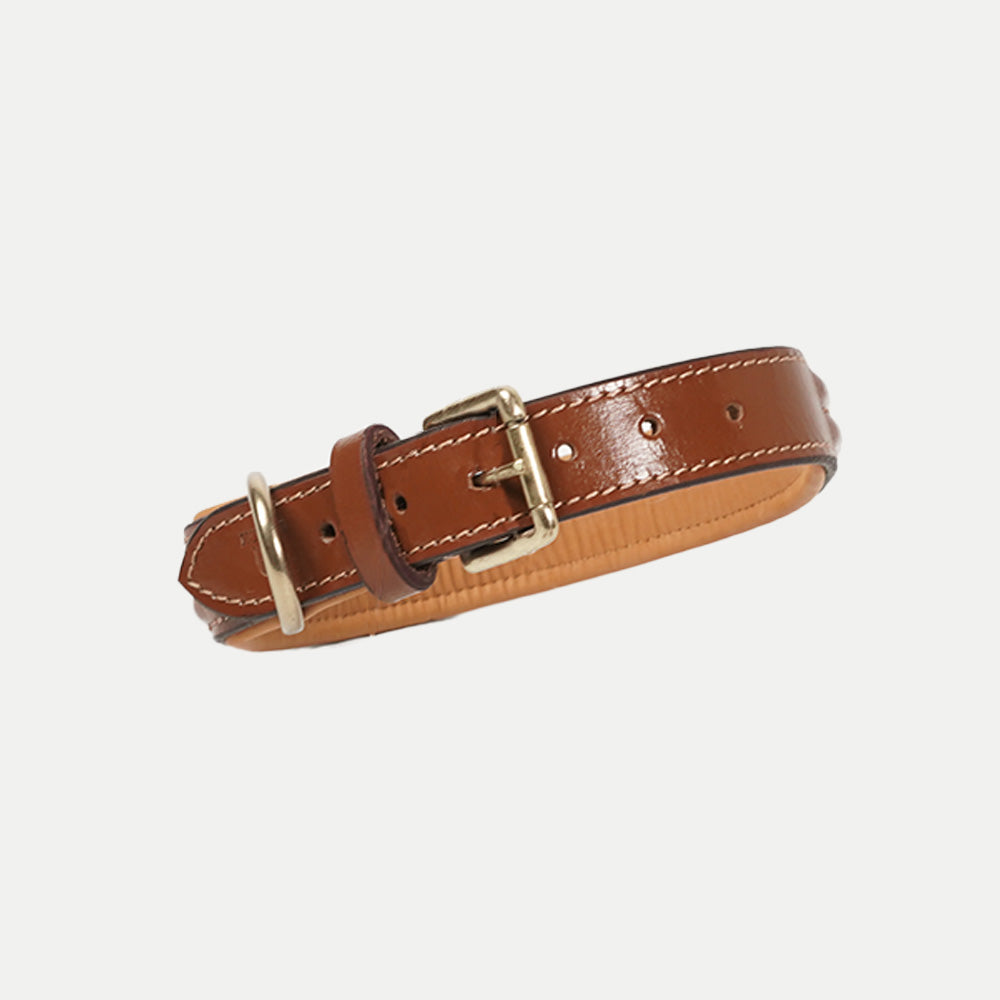 Raised Collar