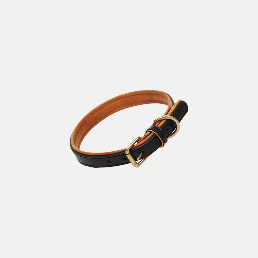 Amorti Padded Collar