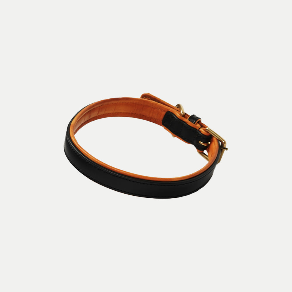 Amorti Padded Collar