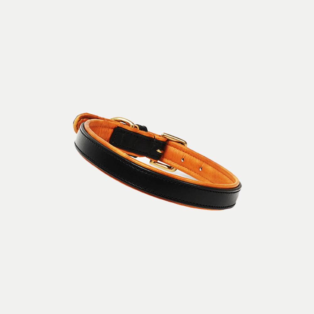 Amorti Padded Collar