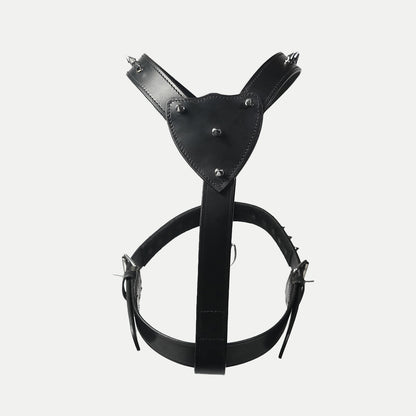 The Pine Harness