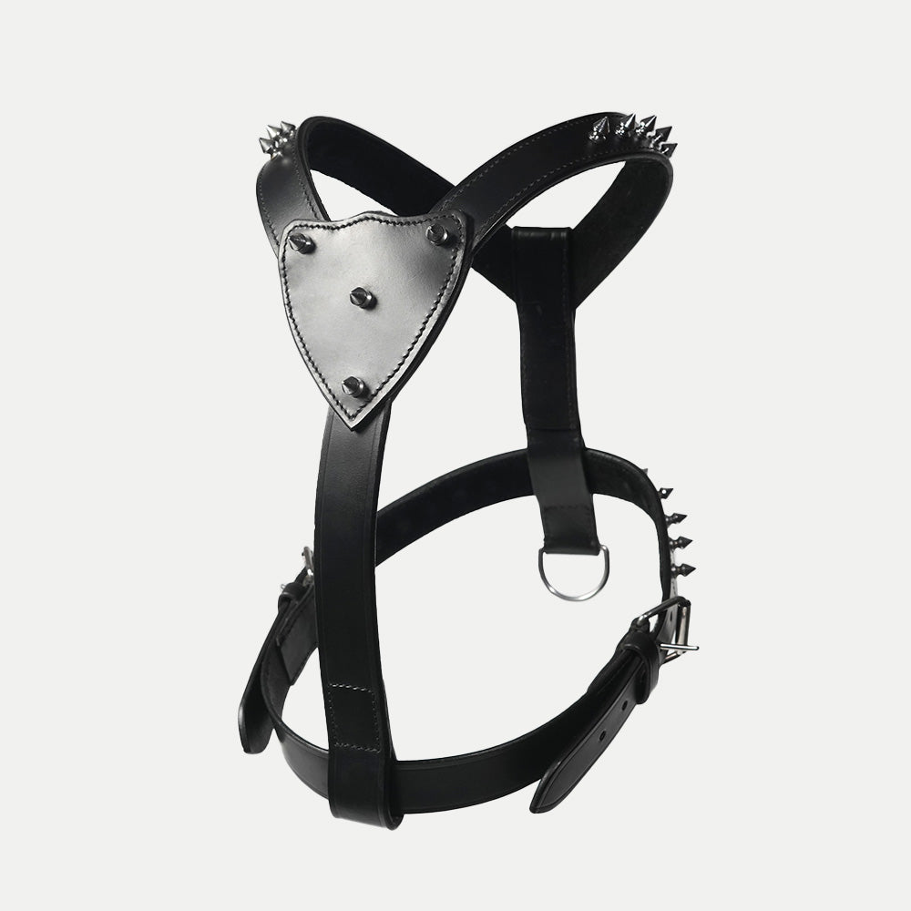 The Pine Harness