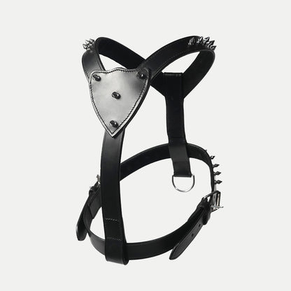 The Pine Harness