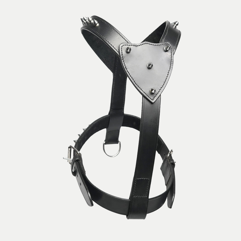 The Pine Harness
