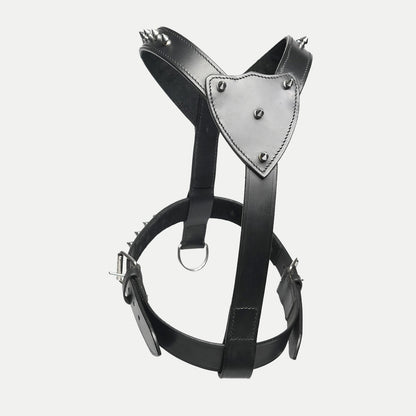 The Pine Harness