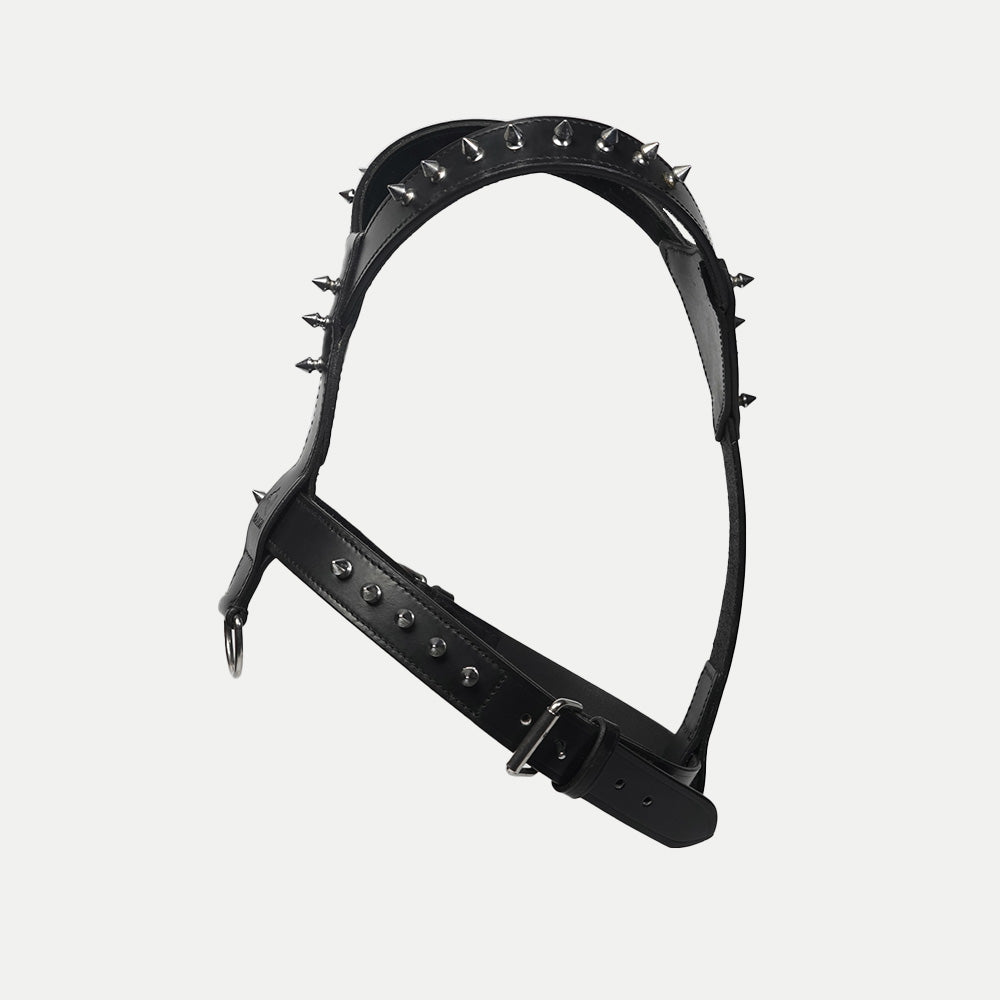 The Pine Harness