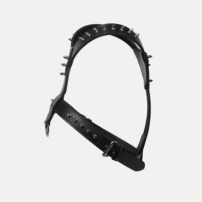 The Pine Harness