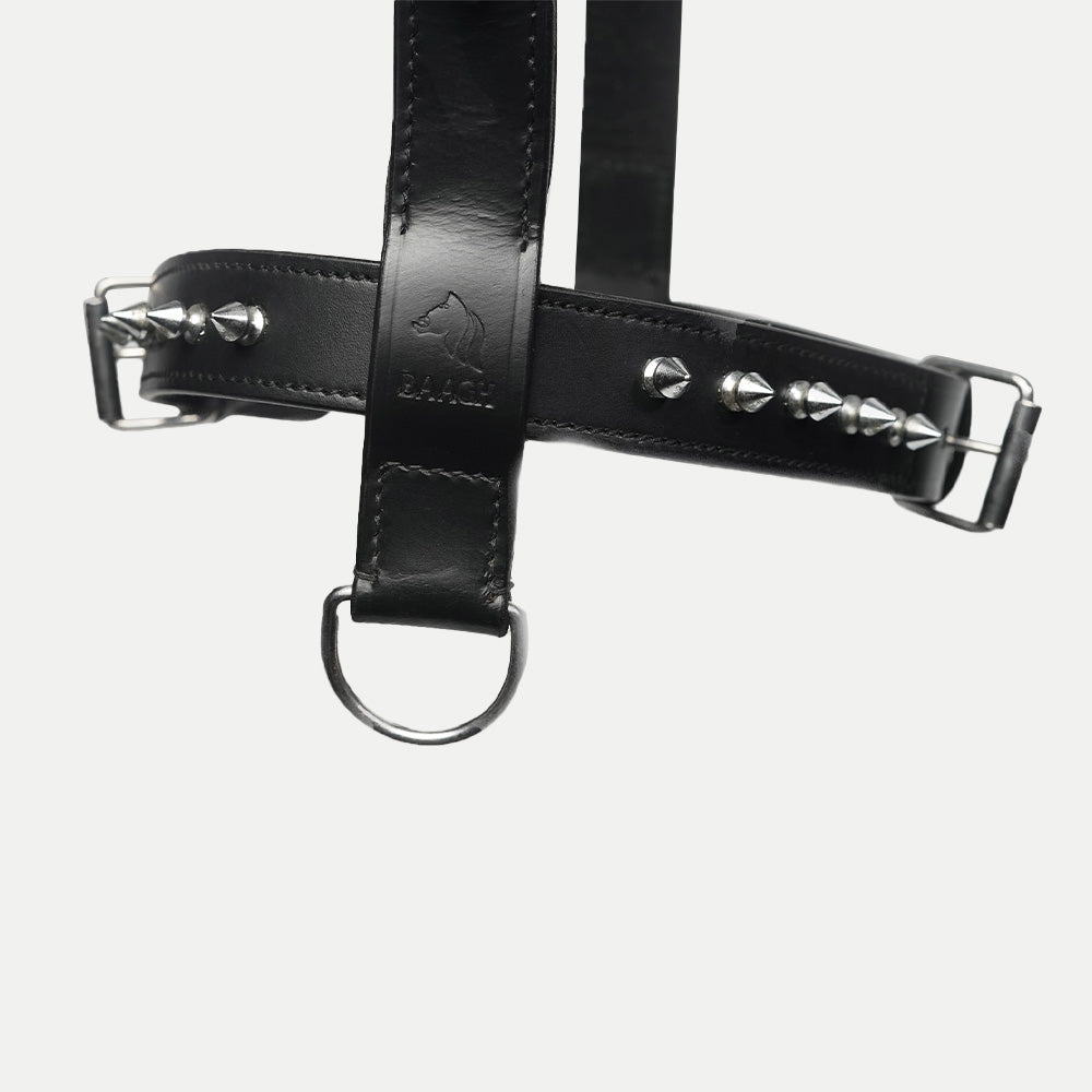 The Pine Harness