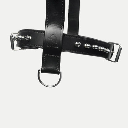 The Pine Harness